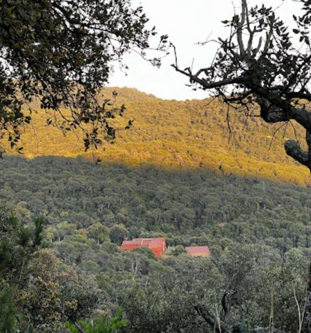 Masia Can Castellar Sant Iscle De Vallalta Eksteriør billede
