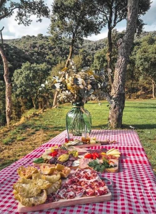 Masia Can Castellar Sant Iscle De Vallalta Eksteriør billede